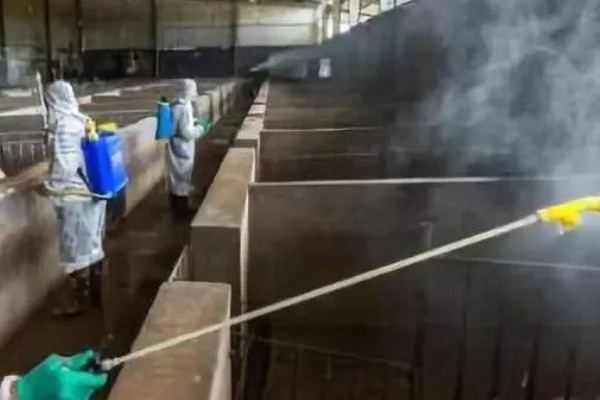 夏季猪场的防暑降温措施，通风是降温的重要措施之一