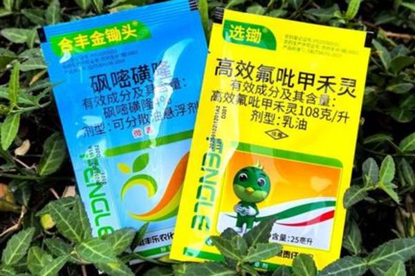 砜嘧磺隆能不能对辣椒使用,可用于辣椒苗后除草