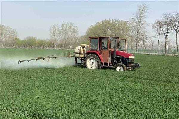 砜嘧磺隆能不能对辣椒使用,可用于辣椒苗后除草