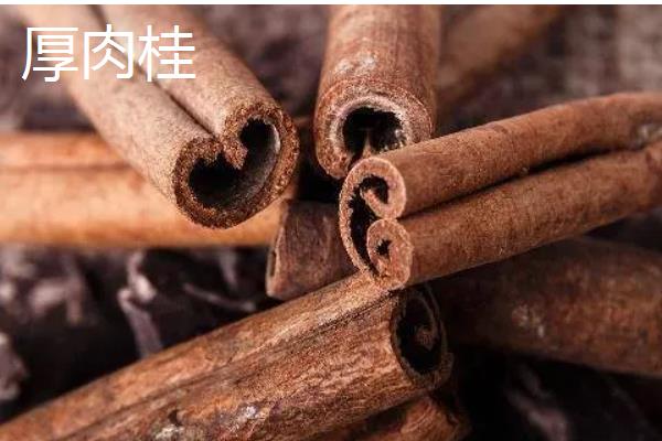 桂皮的来源,主要是用肉桂的树皮制成
