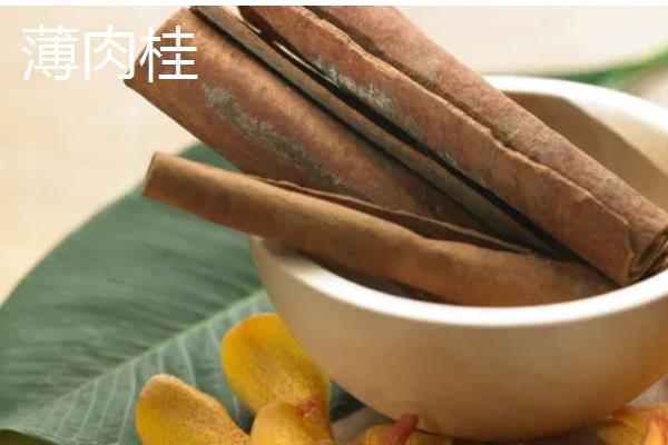 桂皮的来源,主要是用肉桂的树皮制成