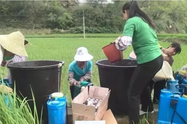 农药混配顺序，一般为微肥、水溶肥、可湿性粉剂、水分散粒剂等