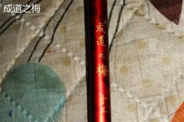 国产并继竿推荐品牌，成道之志、成道之竹等鱼竿值得选择