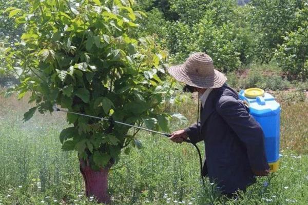敌百辛硫磷的使用方法，针对不同作物的使用方法不同