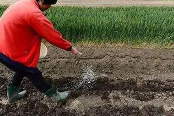 花生追肥用复合肥还是尿素，两种都可以