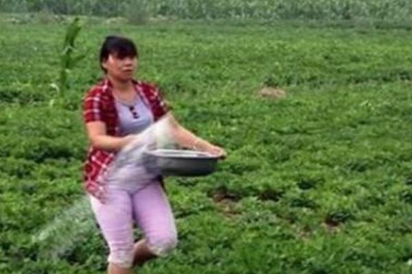 花生追肥用复合肥还是尿素，两种都可以