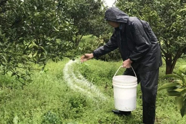 施肥过多为什么会引起烧苗，会导致作物根系的水分流向土壤