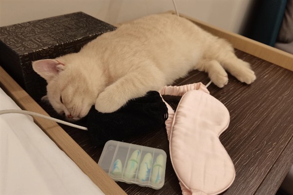 猫咪为什么流眼泪，可能是猫粮太咸太油、不适应环境等因素所致