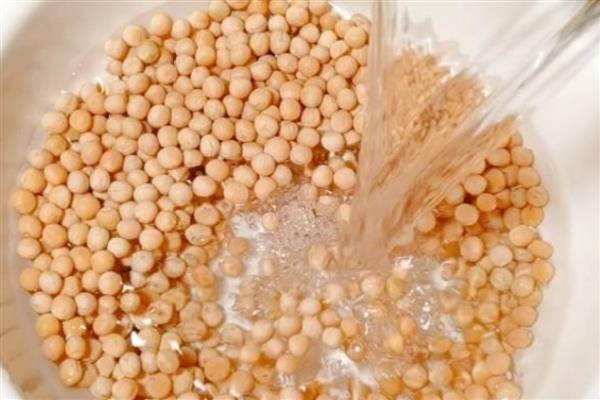 豌豆苗如何进行无土栽培，在容器中装水并添加营养液后再放入幼苗