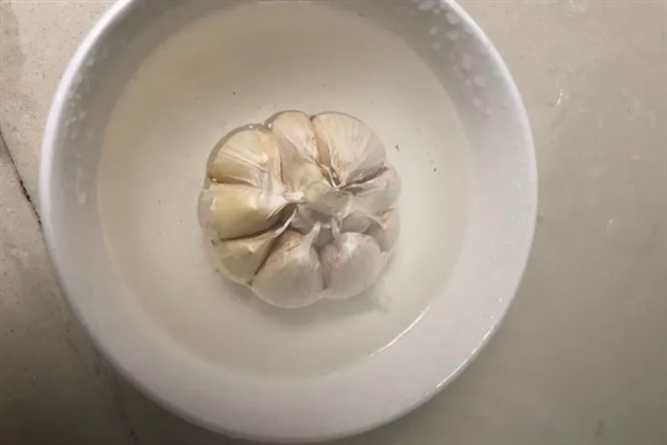 蒜苔如何种植，先选择丰产性好的优良品质