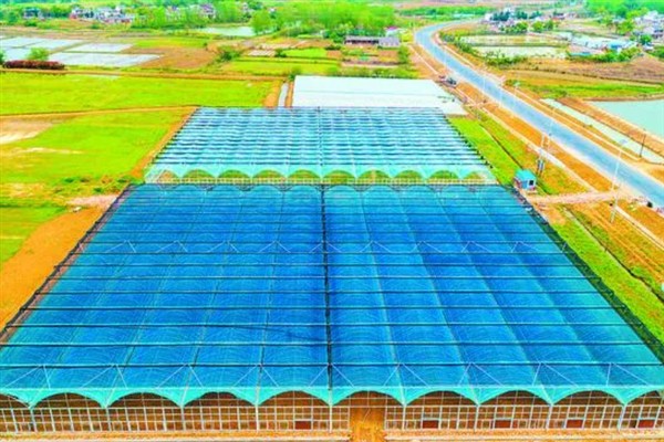 建设现代农业园区有什么意义，具有促进农产品增值、促进农民增收等好处