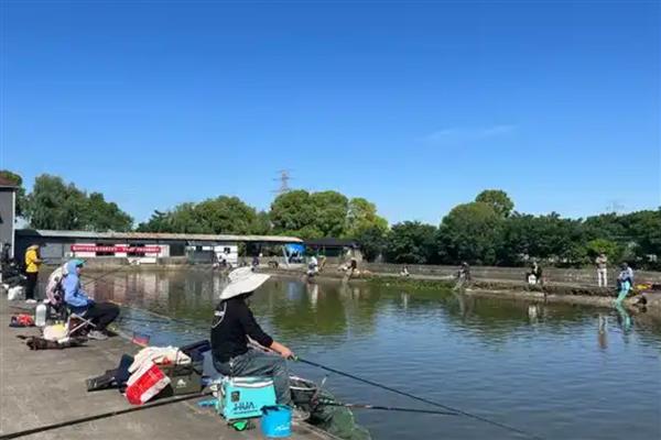 多巴盐的野钓效果，垂钓淡水鱼可提高成功率