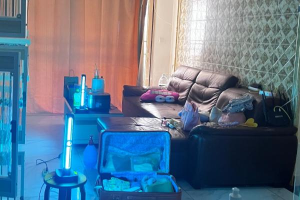 猫咪滴虫用什么药驱虫，可使用含有甲硝唑、芬苯达唑