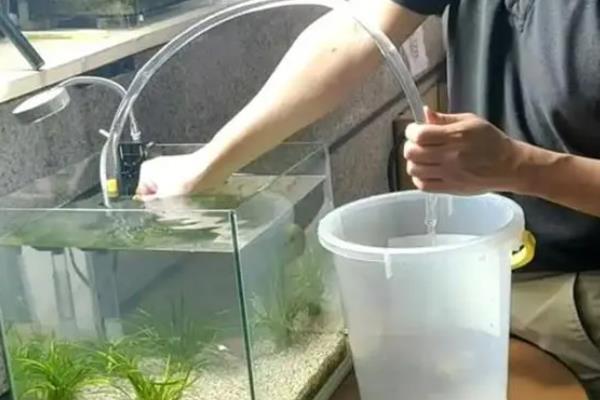 金鱼缸里放多少盐合适，放千分之一到千分之三合适