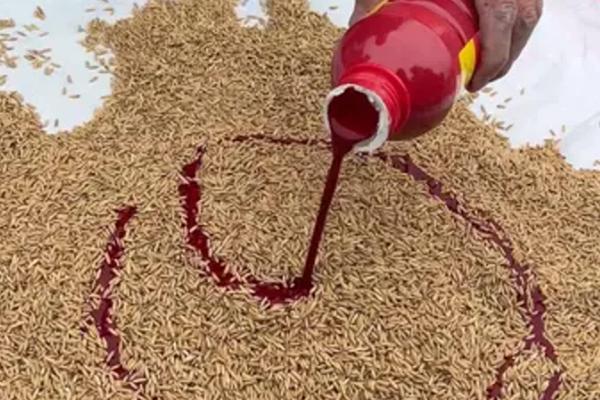 怎么用农药处理作物种子，根据防治对象使用不同的药物拌种或浸种