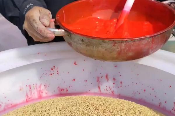 怎么用农药处理作物种子，根据防治对象使用不同的药物拌种或浸种