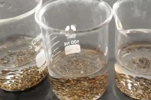 怎么用农药处理作物种子，根据防治对象使用不同的药物拌种或浸种