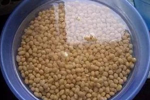 怎么用农药处理作物种子，根据防治对象使用不同的药物拌种或浸种