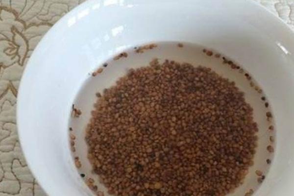 怎么用农药处理作物种子，根据防治对象使用不同的药物拌种或浸种