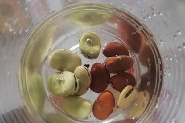 怎么用农药处理作物种子，根据防治对象使用不同的药物拌种或浸种