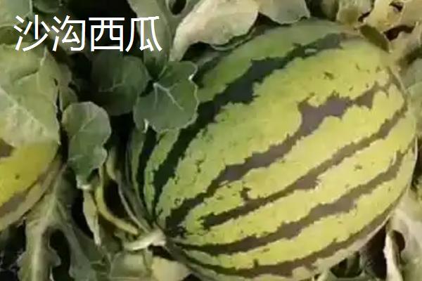 安徽枞阳县的特产，枞阳大闸蟹誉满海内外