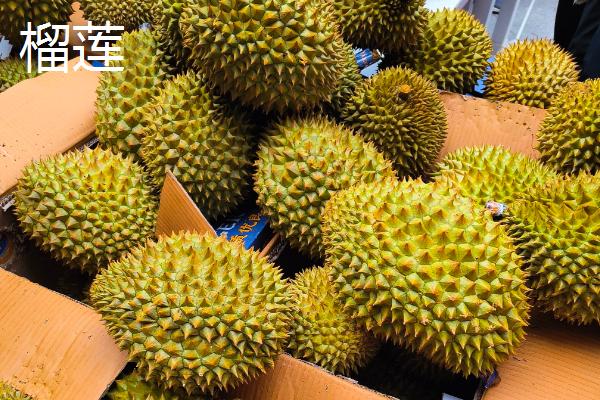 哪些水果有很多寄生虫，常见杨梅、甘蔗、樱桃等品种