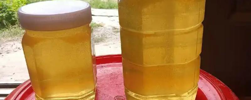 四大名蜜之首是哪种蜜，等级最高的是指洋槐蜜