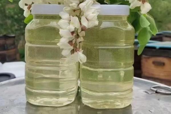 四大名蜜之首是哪种蜜，等级最高的是指洋槐蜜