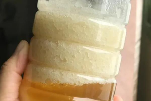 四大名蜜之首是哪种蜜，等级最高的是指洋槐蜜