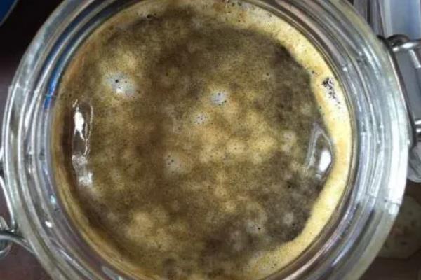 四大名蜜之首是哪种蜜，等级最高的是指洋槐蜜
