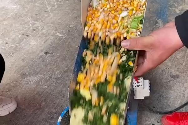 新玉米喂猪有什么危害，会导致猪拉稀
