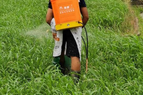 唑醚代森联不能和什么一起用，不能与碱性药剂混用