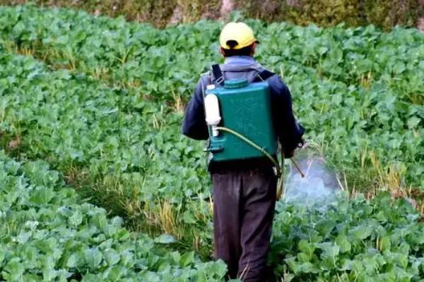 唑醚代森联不能和什么一起用，不能与碱性药剂混用