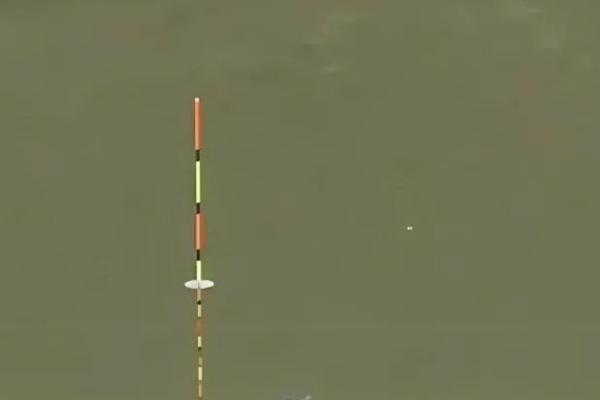 钓鲫鱼为什么一直顶漂，钓得太钝会导致钩饵被托起而出现顶漂