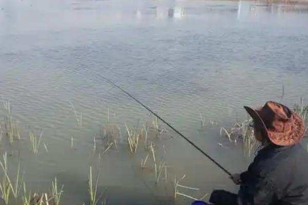 钓鲫鱼为什么一直顶漂，钓得太钝会导致钩饵被托起而出现顶漂