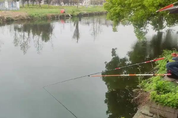 钓鲫鱼为什么一直顶漂，钓得太钝会导致钩饵被托起而出现顶漂