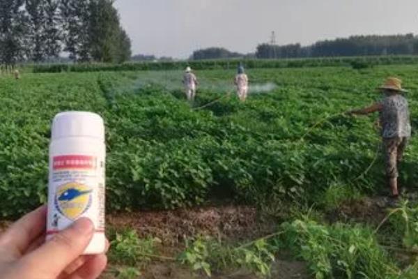 大豆病虫害及防治方法，不同病害的防治方法不同