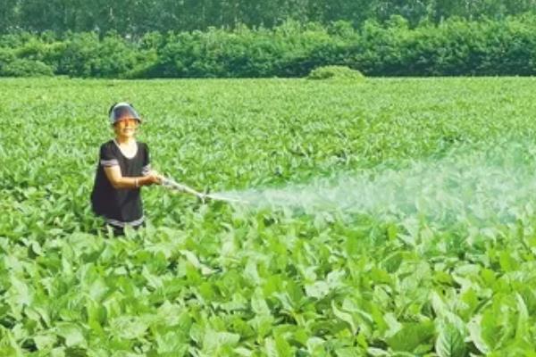 大豆病虫害及防治方法，不同病害的防治方法不同