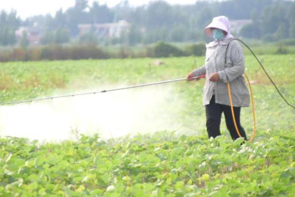 大豆病虫害及防治方法，不同病害的防治方法不同