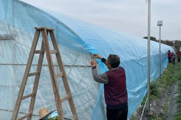 蔬菜温室大棚怎么增温，在棚内搭建中棚或在拱棚上加覆保温材料
