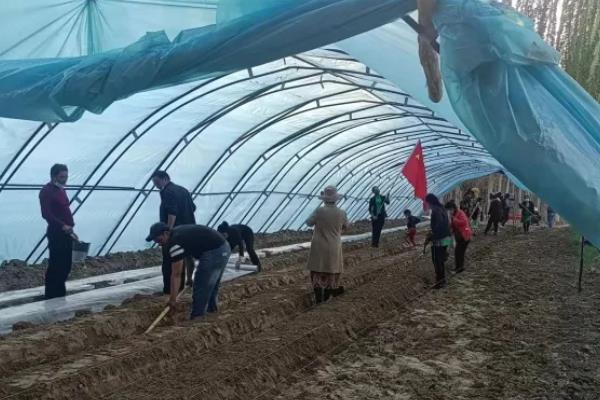 蔬菜温室大棚怎么增温，在棚内搭建中棚或在拱棚上加覆保温材料