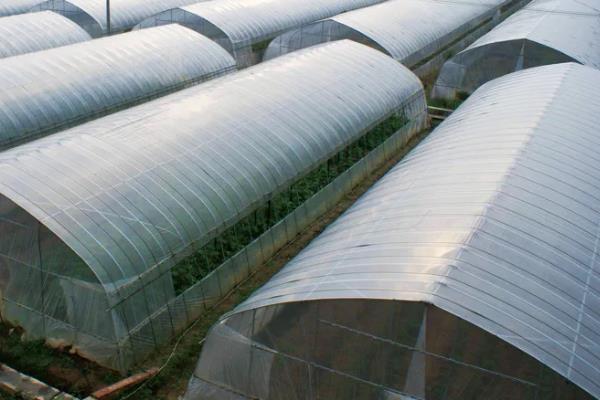 蔬菜温室大棚怎么增温，在棚内搭建中棚或在拱棚上加覆保温材料