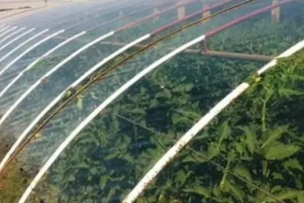 蔬菜温室大棚怎么增温，在棚内搭建中棚或在拱棚上加覆保温材料