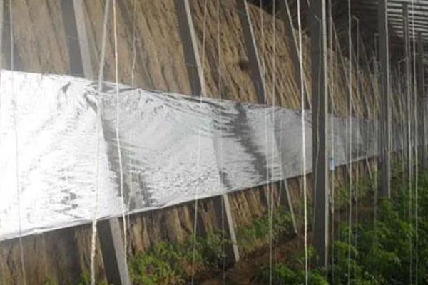 蔬菜温室大棚怎么增温，在棚内搭建中棚或在拱棚上加覆保温材料