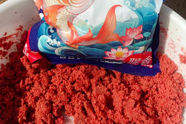 钓大板鲫选择哪种饵料，蚯蚓、红虫、麦粒等鱼饵均适合使用