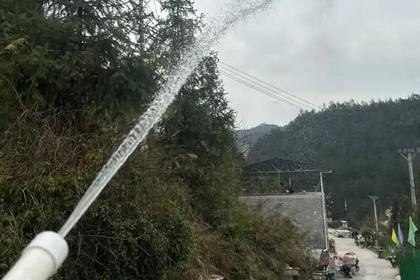 胡蜂窝与马蜂窝有什么区别，二者没有区别只是叫法不同