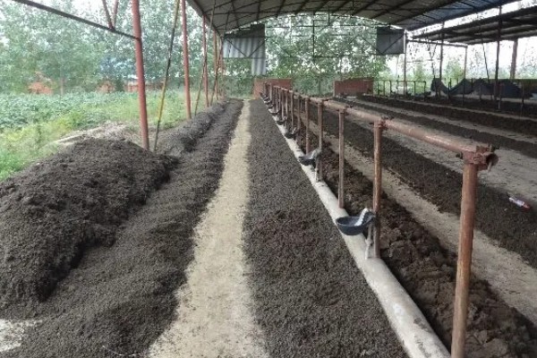 养殖蚯蚓的前景，在水产养殖较多的地区前景可观
