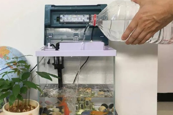 鱼缸的水变绿怎么处理，需及时换水