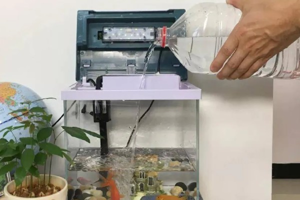 鱼缸的水变绿怎么处理，需及时换水