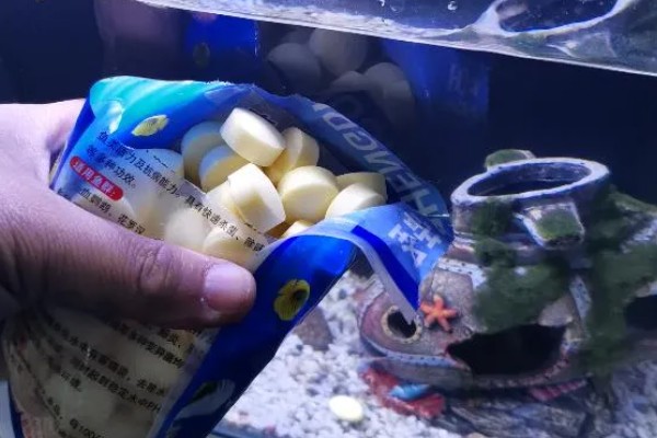 杀菌盐可以和硝化细菌一起用吗，不能一起用